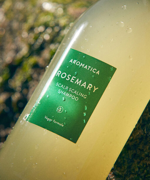 aromatica