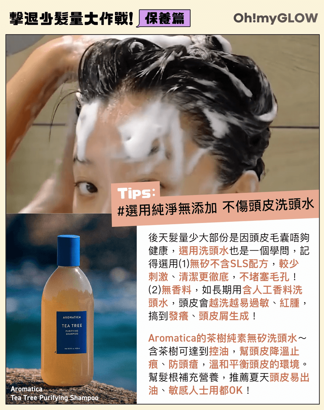 Aromatica 茶樹防脫髮無矽洗頭水 防掉髮護理+用美髮工具急救你的扁塌細軟髮